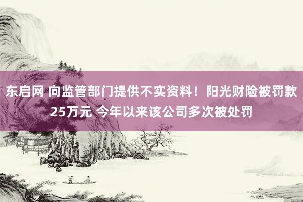 东启网 向监管部门提供不实资料！阳光财险被罚款25万元 今年以来该公司多次被处罚