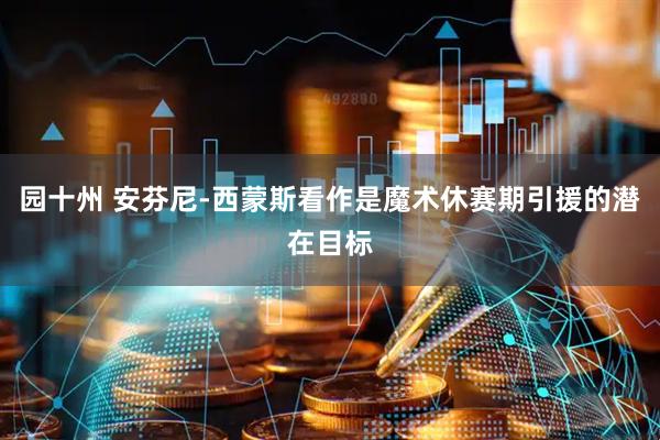 园十州 安芬尼-西蒙斯看作是魔术休赛期引援的潜在目标